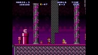 Mario Forever Beetroot World SakuraMotchi 2020