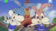 Tiny Toon Adventures 1990 S01E034 DUBpl