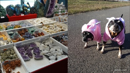 Jedziemy na Giełdę Kamieni i minerałów + duży haul zakupowy