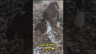 Jak odprowadzić wodę z rynien bez kosztów?