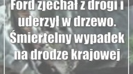 Ford zjechał z drogi i uderzył w drzewo.  Śmiertelny wypadek na drodze krajowej