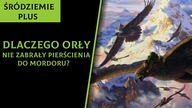Dlaczego Orły Nie Zabrały Pierścienia Do Mordoru? [Śródziemie Plus]