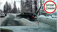 Pijany kierowca wyprzedza buspasem, powoduje kolizje i ucieka #557 Wasze Filmy
