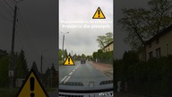 Wyprzedzanie na przejściu dla pieszych, skrzyżowaniu #shorts #rikordwidjo