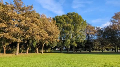 ABRAHAM-MANIFESTACJA