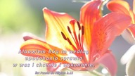 Audycja Wyzwolony - Leroy Van Wright