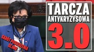 Tarcza antykryzysowa 3. 0 w Sejmie  Skrót debaty