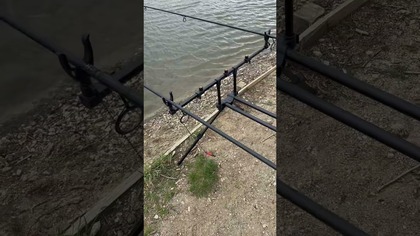 Mój nowy RODPOD z Chin na 5 wędek! #rodpod #karpie #wędkarstwo #temu #wedkarstwo #fishing #lucio