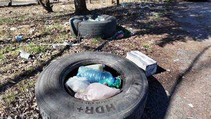 Nielegalne wysypisko w Jaworznie  stos starych opon porzucony w lesie