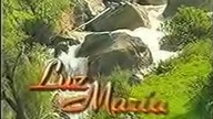 135 - Luz Maria