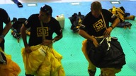 Skydive Dubai 2012   4K 1080p