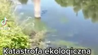 Co się dzieje na Odrze? Ścieki płyną do rzeki