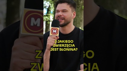 SŁONINA  MIĘSO ZE SŁONIA?  #maturatobzdura #Daniel #Midas #zabawne #wiedza @tendanielmidas