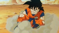 DB Kai 008