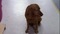 VR Troopers S01E13 LEKTOR PL