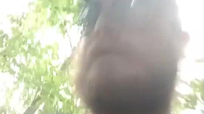 Leśny spacer, czyli Rubik buszujący w krzakach! Słońce i pogoda nad Koszalinem, Q&A z Sarmatą!