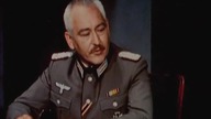 Walter broni Sarajewa
