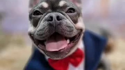 Secik i jego kumple.