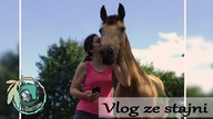 || Vlog ze stajni
