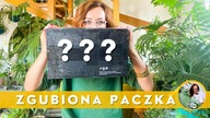 Zamawianie ROŚLIN do paczkomatów.  Czy jest bezpieczne dla roślin?
