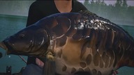 Euro Fishing vs. NiedzielnyW.- # 32 -St. Johns Lake - Baby i Big Plated :)