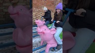 Wyścig na prosiakach #fikimikiagatkiimoniki