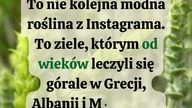  Poznaj Gojnik  sekretny skarb Bałkanów #zdrowenawyki
