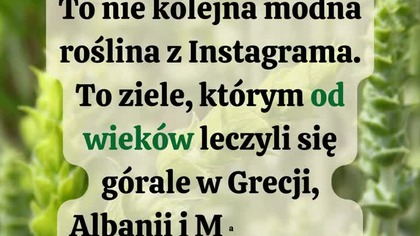  Poznaj Gojnik  sekretny skarb Bałkanów #zdrowenawyki