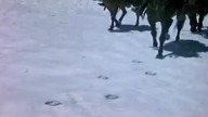 Komu bije dzwon 1943 napisy pl