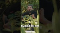 Jak pobudzają nas różne napoje z kofeiną