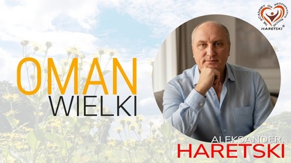 Oman Wielki: Król Ziół na Płuca, Stawy i Energię.  Jedna Roślina Na Wiele Chorób.