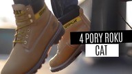 4 pory roku CAT - Colorado Wiosna