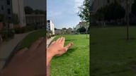 Park pełen wierszy 46/61 Park Wisławy Szymborskiej