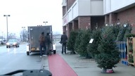 Jurassic Prank!!