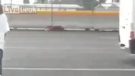 Kobieta ryzykuje własne życie dla psa