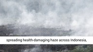 English | Indonesia: Worsening air pollution reducing lifespans in Indonesia