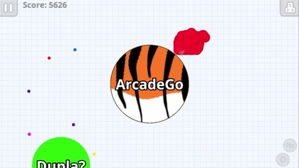 AgarioKoksu