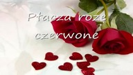 Płaczą róże czerwone