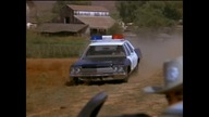 Atak pomidor&oacute;w zab&oacute;jc&oacute;w(Attack of the Killer Tomatoes!)1978 eng