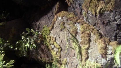 Stargate Atlantis [s02e12] Epiphany