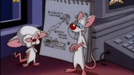 Pinky i M&oacute;zg S03E29 Pięć minut Pinkyego/Uroki władzy absolutnej