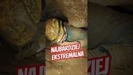  Najbardziej ekstremalna przygoda w Polsce 