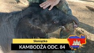 Kambodża - Słoniątko (odc.  84)