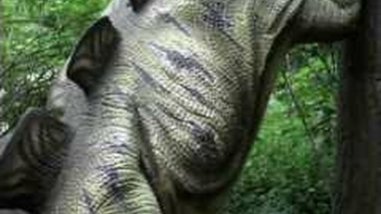 Dinopark Malbork http://ciekawerosliny.pl/forum/