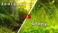 Glony w akwarium a jonizator ? Czy jonizator zwalczy glony ?