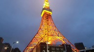 JAPONIA - Poczuć się jak YAKUZA - TAJFUN w TOKIO