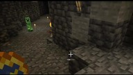 That was a bit weird #minecraft #game #bruh #Short #Shorts #Creeper #Cat #Cats #Kitty
