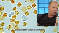 Umysł Który Leczy - Przeprogramuj Swoje DNA - Dr Joe Dispenza po polsku Dokument LEKTOR PL