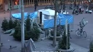 Złodziej choinek zdemaskowany