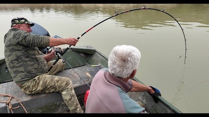 Sum prawie zamęczył wędkarza!